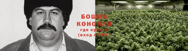 герыч Гусь-Хрустальный