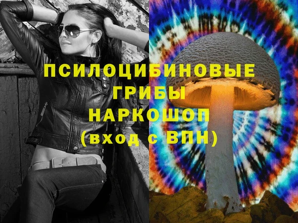 гидра Апатиты