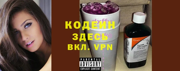прущий лед Дмитриев