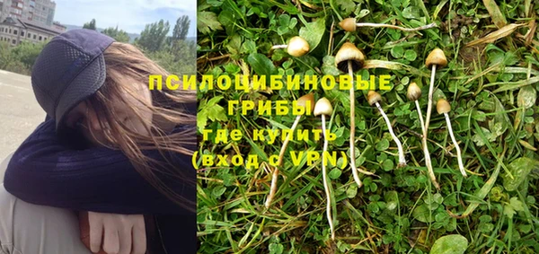 кокс Гусев