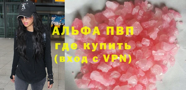 прущие грибы Дмитров
