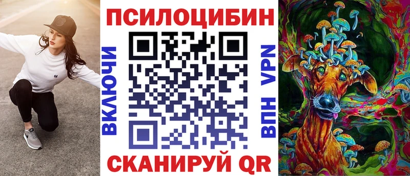 купить  цена  hydra рабочий сайт  Галлюциногенные грибы Psilocybe  Дорогобуж 